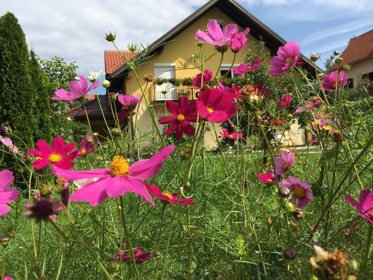 Omiljeni Apartments Zlatibor Luaran gambar